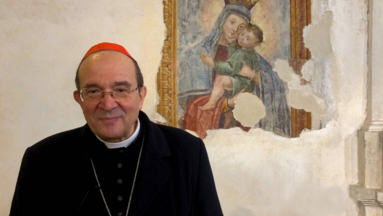 Cardinal Giuseppe Petrocchi
