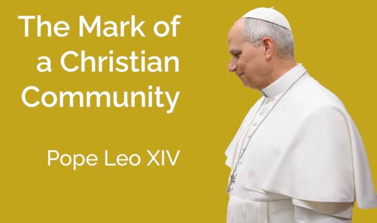 Pope Leo XIV calls the Church to reject individualism, embrace synodality and journey together as a humble, welcoming community of service and love.